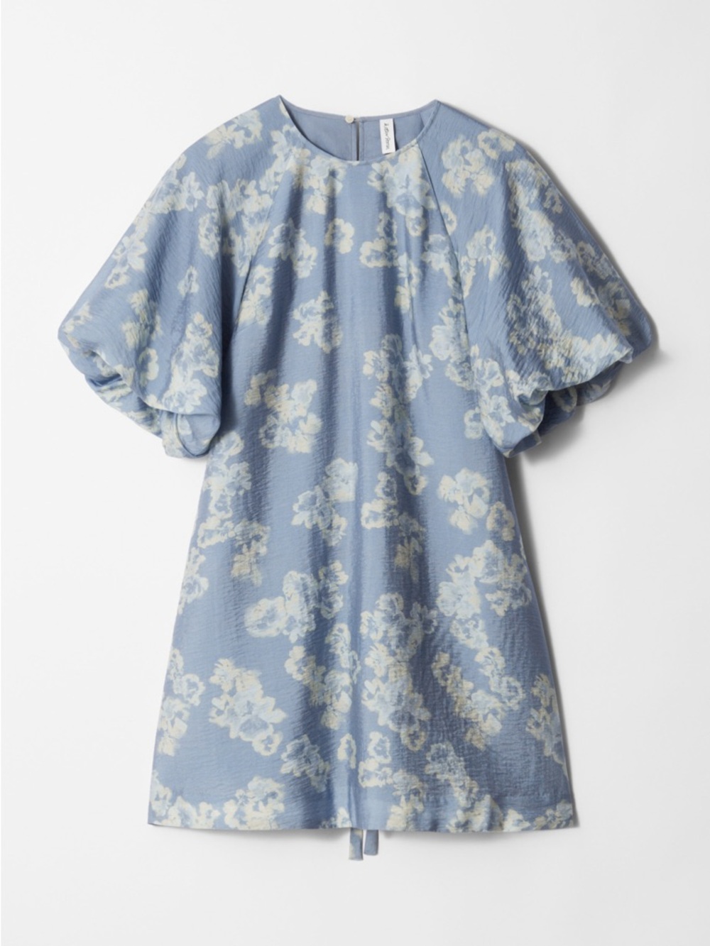 & Other Stories - NWT - Light Blue Floral Puff-Sleeve Mini Dress